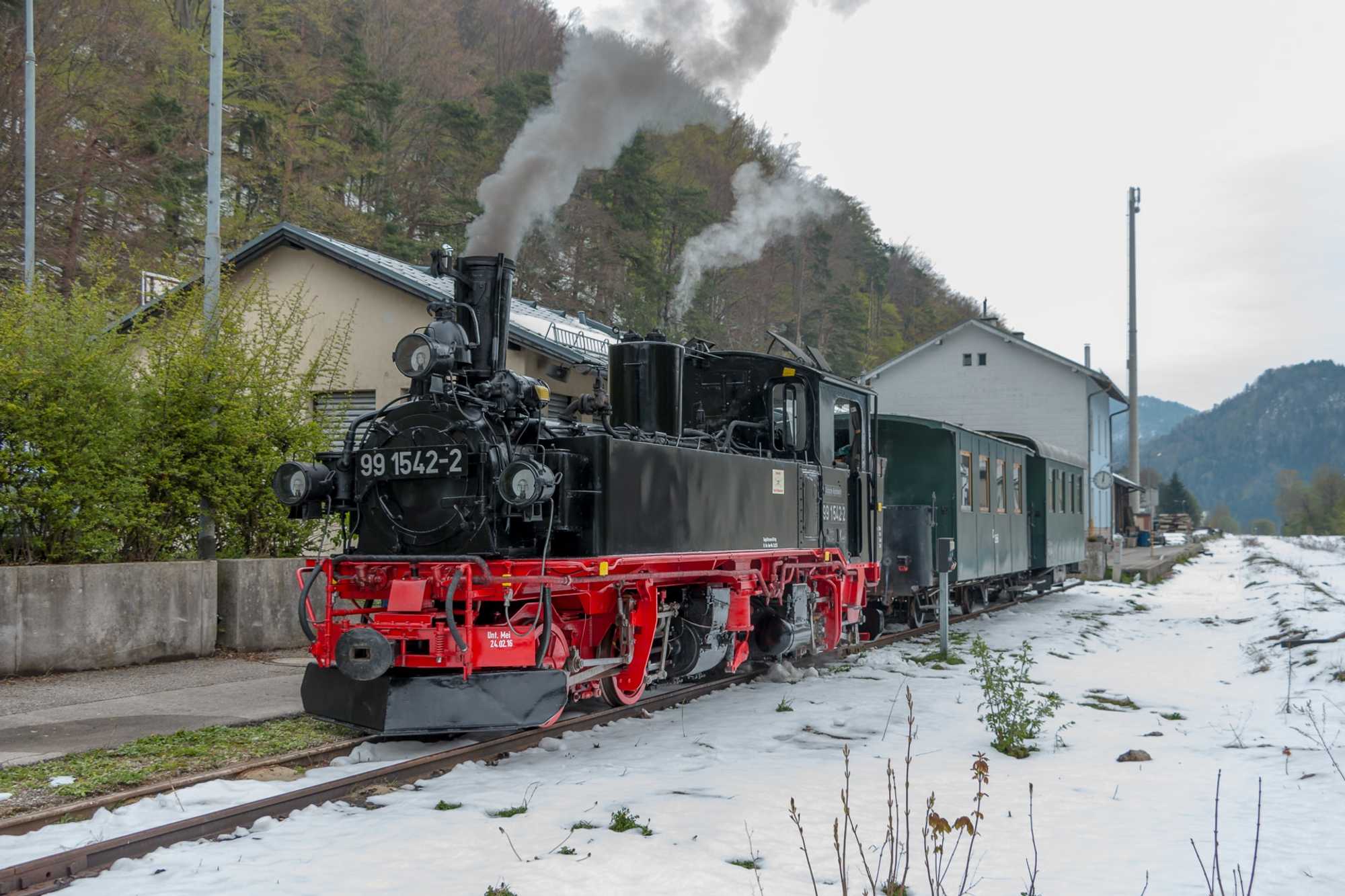 Die IV K 99 1542-2 der Preßnitztalbahn zu Gast für Probefahrten auf der Ybbstalbahn-Bergstrecke in Niederösterreich, hier aufgenommen am Bahnhof Kiemberg-Gaming.