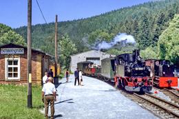Seit Pfingsten 1995 endet die Museumsbahn in einem Stumpfgleis in Schmalzgrube. Mit einer zweiten Lok muss das Umsetzen der ankommenden Züge vorgenommen werden.