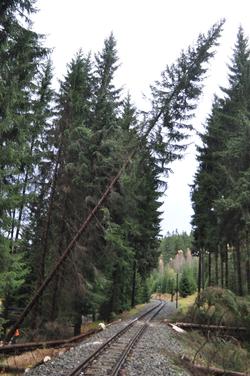 Die im Gleisbereich umgefallenen Bäume werden so zersägt, dass für den Bahnbetrieb von ihnen keine weitere Gefährdung ausgeht. Die finale Beräumung erfolgt dann durch den Forst selber.