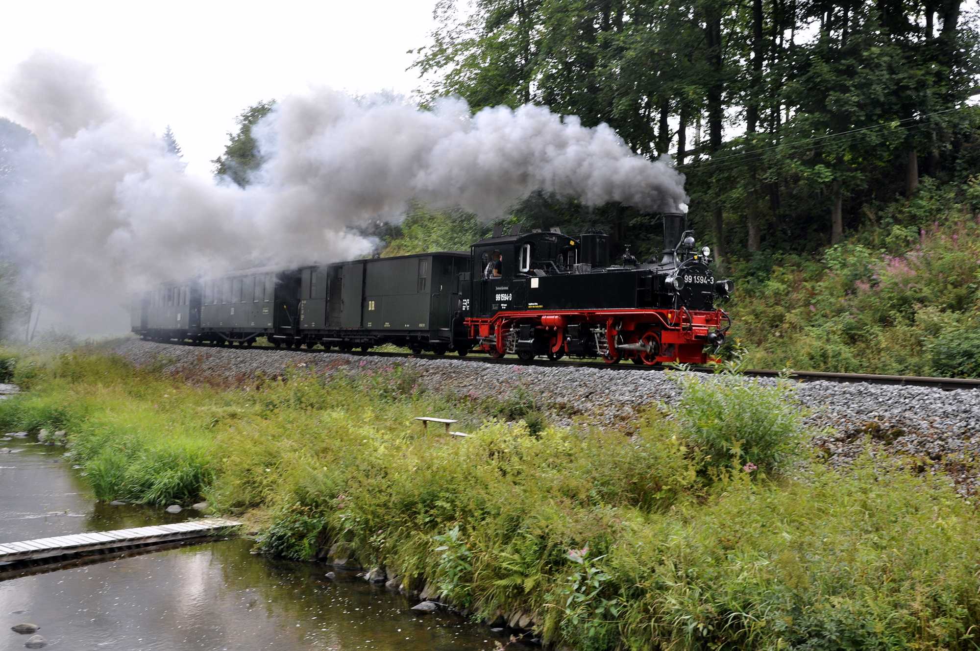 99 1594-3 zog am Wochenende des Wildbachfestes die Züge auf der Museumsbahn zwischen Steinbach und Jöhstadt