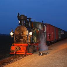 Da war es passiert, der Zug mit der I K Nr. 54 konnte nach einem Triebwerksschaden seinen Dienst auf der Döllnitzbahn nicht fortsetzen.
