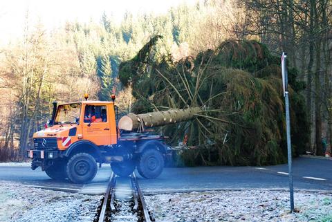 Transport des Baumes über den Bahnübergang der Straße nach Grumbach.