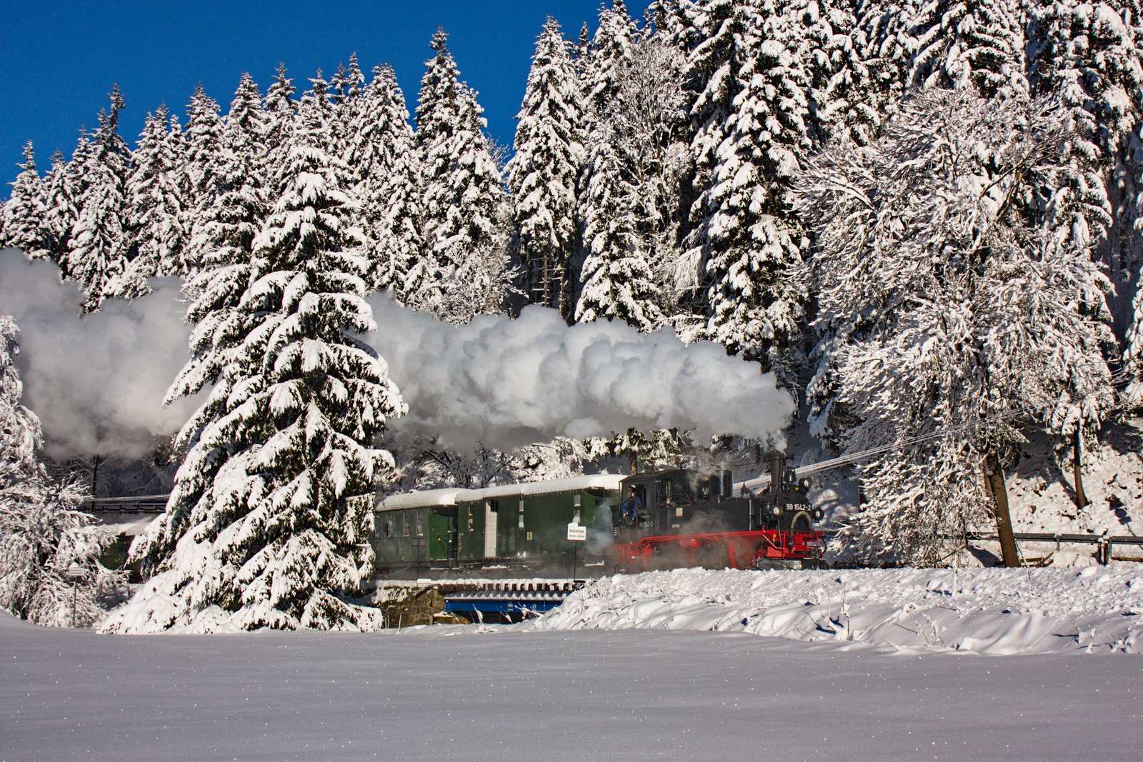 Durch dichtverschneiten Wald nähert sich der Zug dem Haltepunkt Forellenhof.