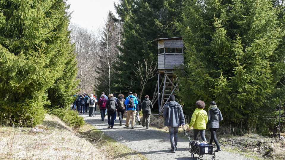 Ostern führte eine von der Preßnitztalbahn organisierte Wanderung über die Höhen des Erzgebirges von Jöhstadt nach Steinbach