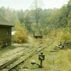 Direkt am Lokschuppen von Wolkenstein liegt das ein Stück vom Gleis zum früheren Personenbahnsteig zwar noch, jedoch ist es schon ziemlich zugewachsen.