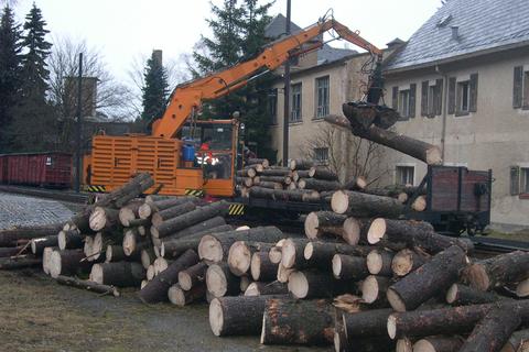 Ladestraße Schlössel - die Holzstücke werden für die Abholung durch den Forstbetrieb aufgestapelt.