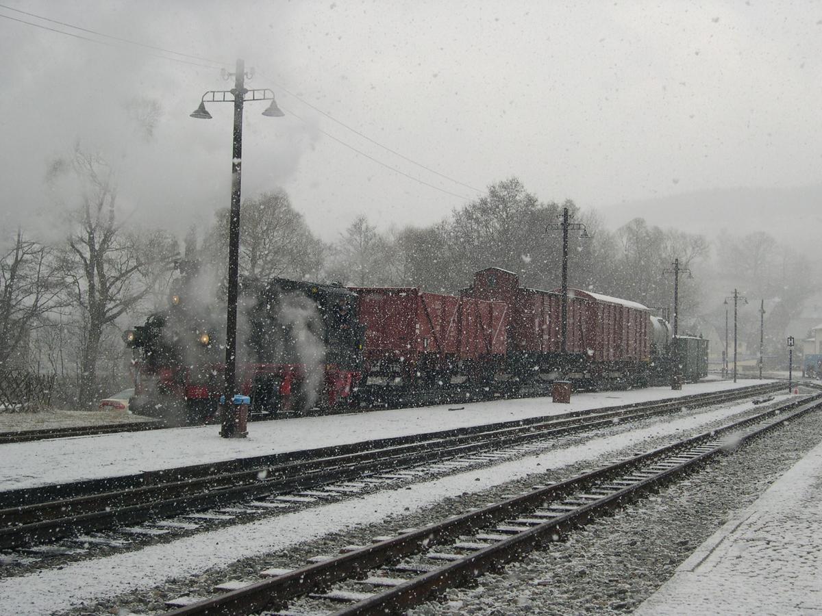 Schwere Last im Schneetreiben auf Gleis 1 in Steinbach.