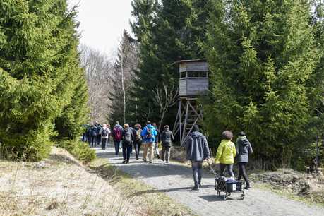 Über 60 Wanderbegeisterte starteten am Ostersonntag in Jöhstadt zu einer Wanderung nach Steinbach über die Höhen des Erzgebirgskammes.