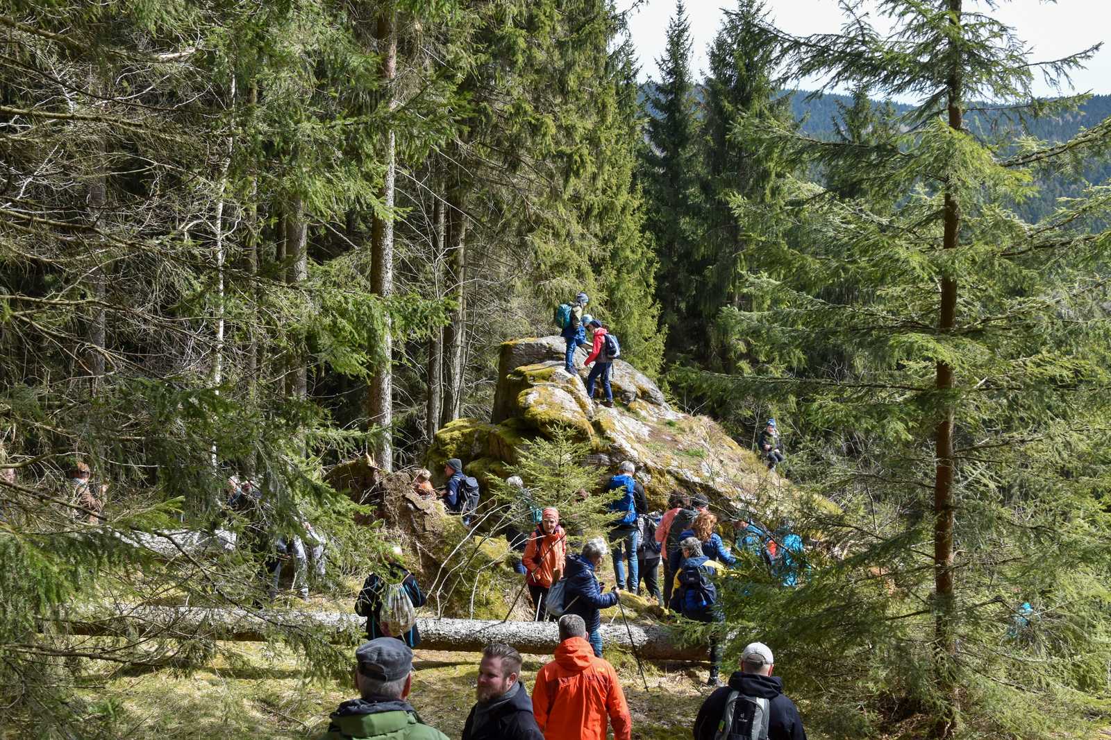 Den fleißigen Wanderern stellte sich am Ostersonntag auf den 10 Kilometern bis nach Steinbach so mancher Stein in den Weg. Zurück ging es natürlich mit der Preßnitztalbahn nach Jöhstadt!