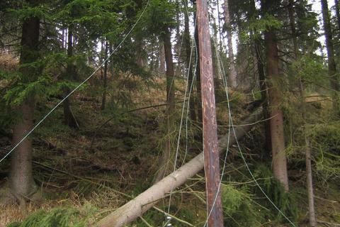 Die schlimmsten Befürchtungen wurden bestätigt, rund 600 Meter der Streckenfernsprechleitung sind neuerlich zwischen Schmalzgrube und Steinbach zerstört, da mehrere Bäume in die Leitungen gestürzt sind.