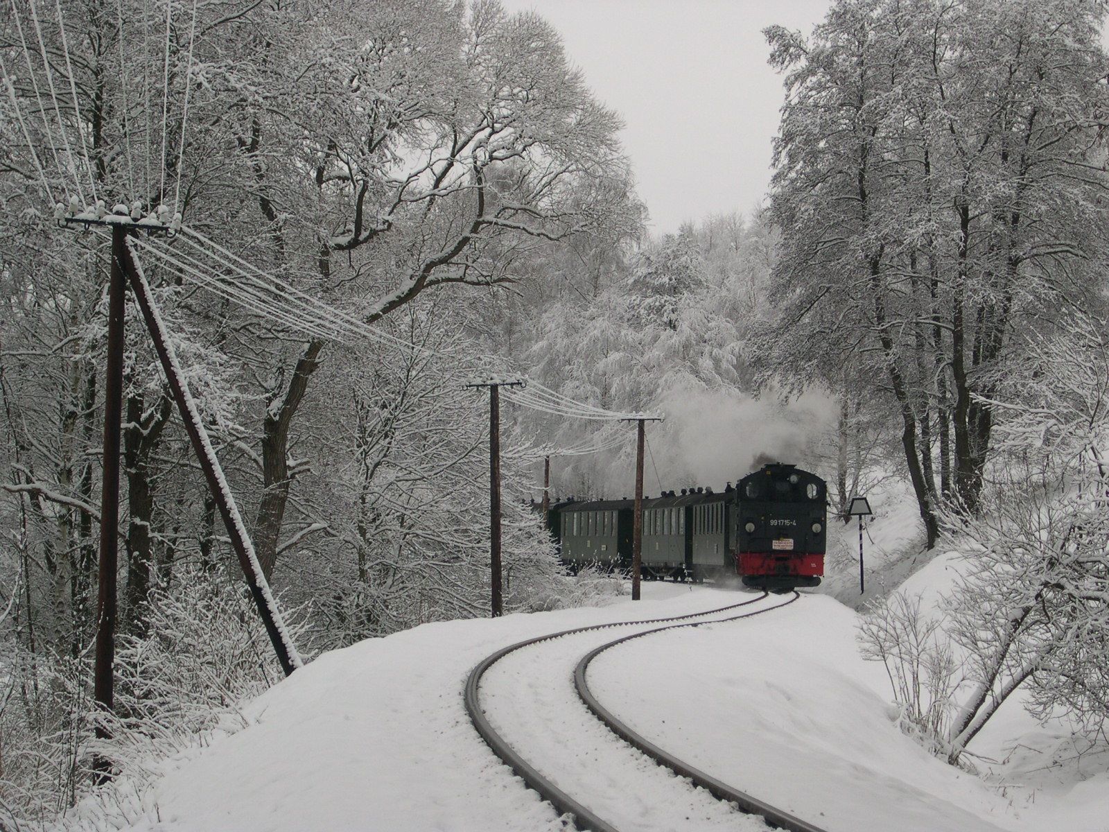 Dampfzug im Winterwald.