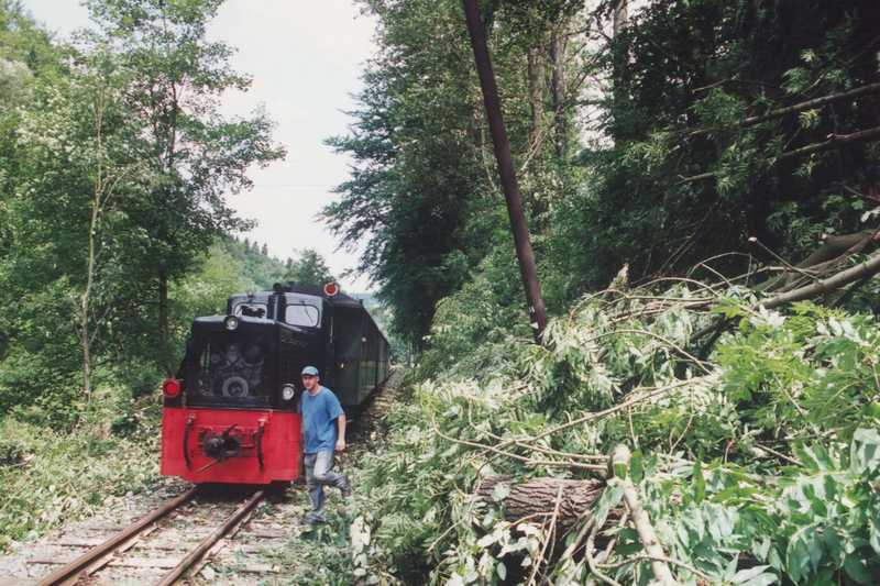 Der erste Zug nach Steinbach kann erst nach dem Beseitigen der umgefallenen Bäume nach Steinbach durchfahren.