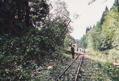 Besonders die Streckenfernsprechleitung wurde über mehrere hundert Meter stark zerstört.