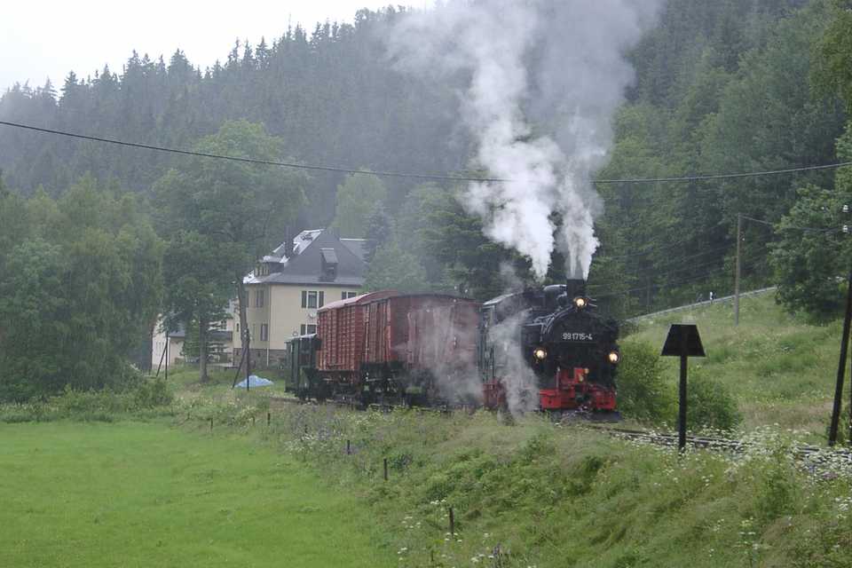 Güterzug zwischen Forellenhof und Schmalzgrube unterwegs.