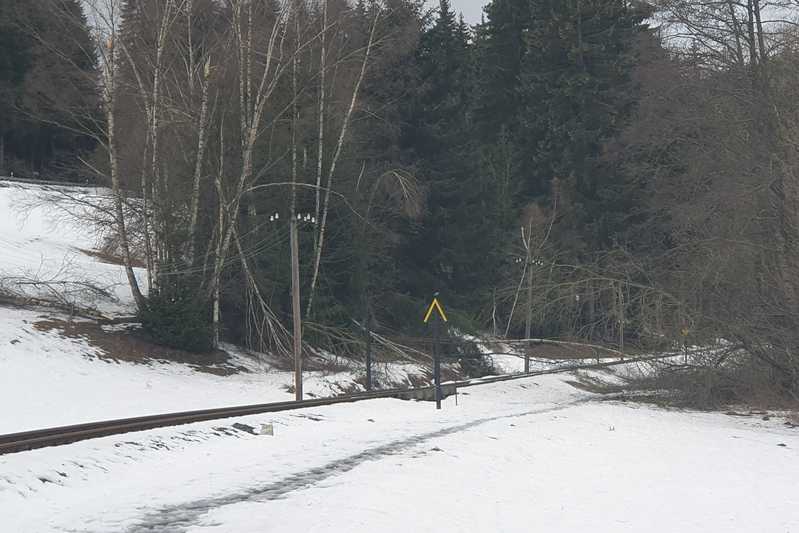 In der Ausfahrt aus Schmalzgrube in Richtung Jöhstadt sind mehrere Bäume im Gleis und auf der Fernsprechleitung gelandet.
