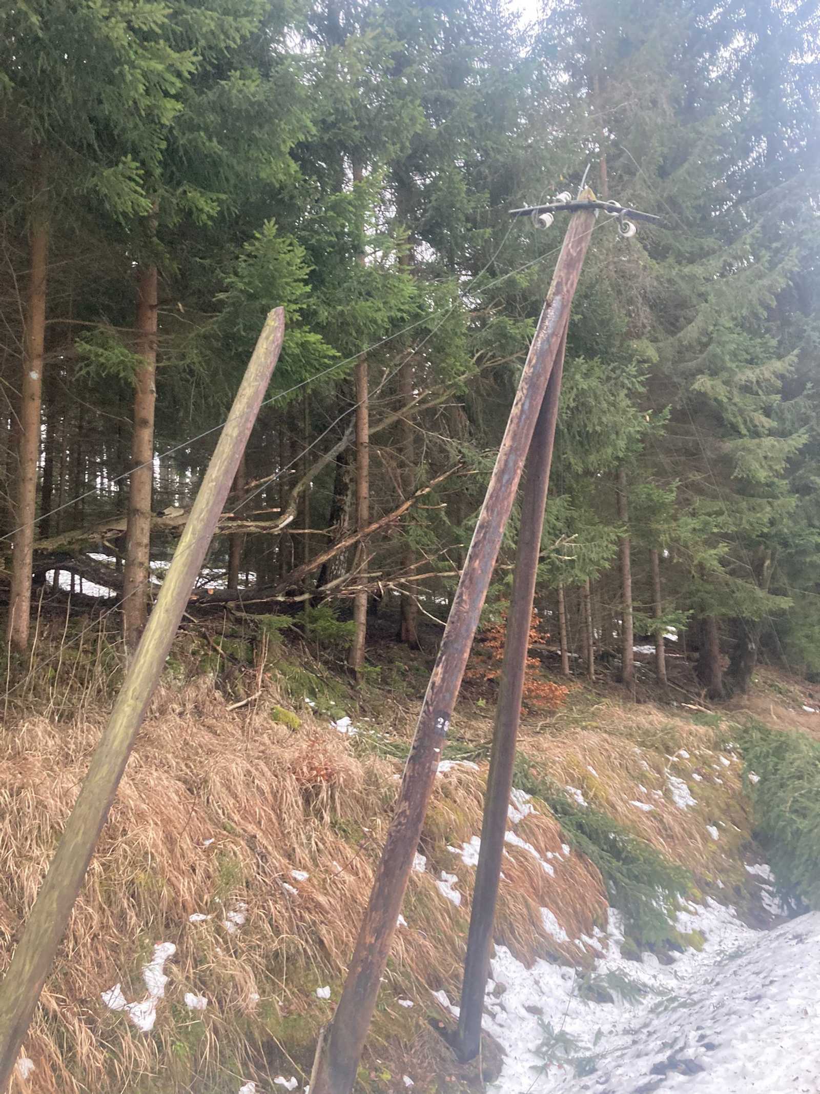 Zwischen Bahnübergang der Straße nach Grumbach und Forellenhof sind auch mehrere Fernsprechleitungsmasten getroffen oder umgedrückt worden.