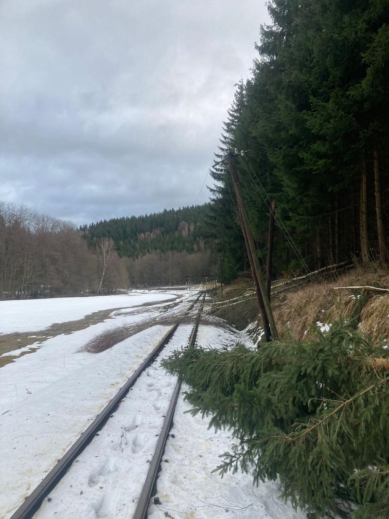 Entlang des Gleises zwischen Bahnübergang der Straße nach Grumbach und Forellenhof sind unzählige Bäume ins Gleis gestürzt und haben dabei den Telegrafenmast umgezogen.
