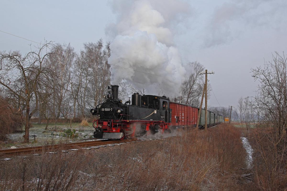 Nach über 20 Jahren ist die IV K 99 1568-7 der Preßnitztalbahn erstmals wieder zwischen auf der Schmalspurbahn zwischen Oschatz und Mügeln unterwegs.